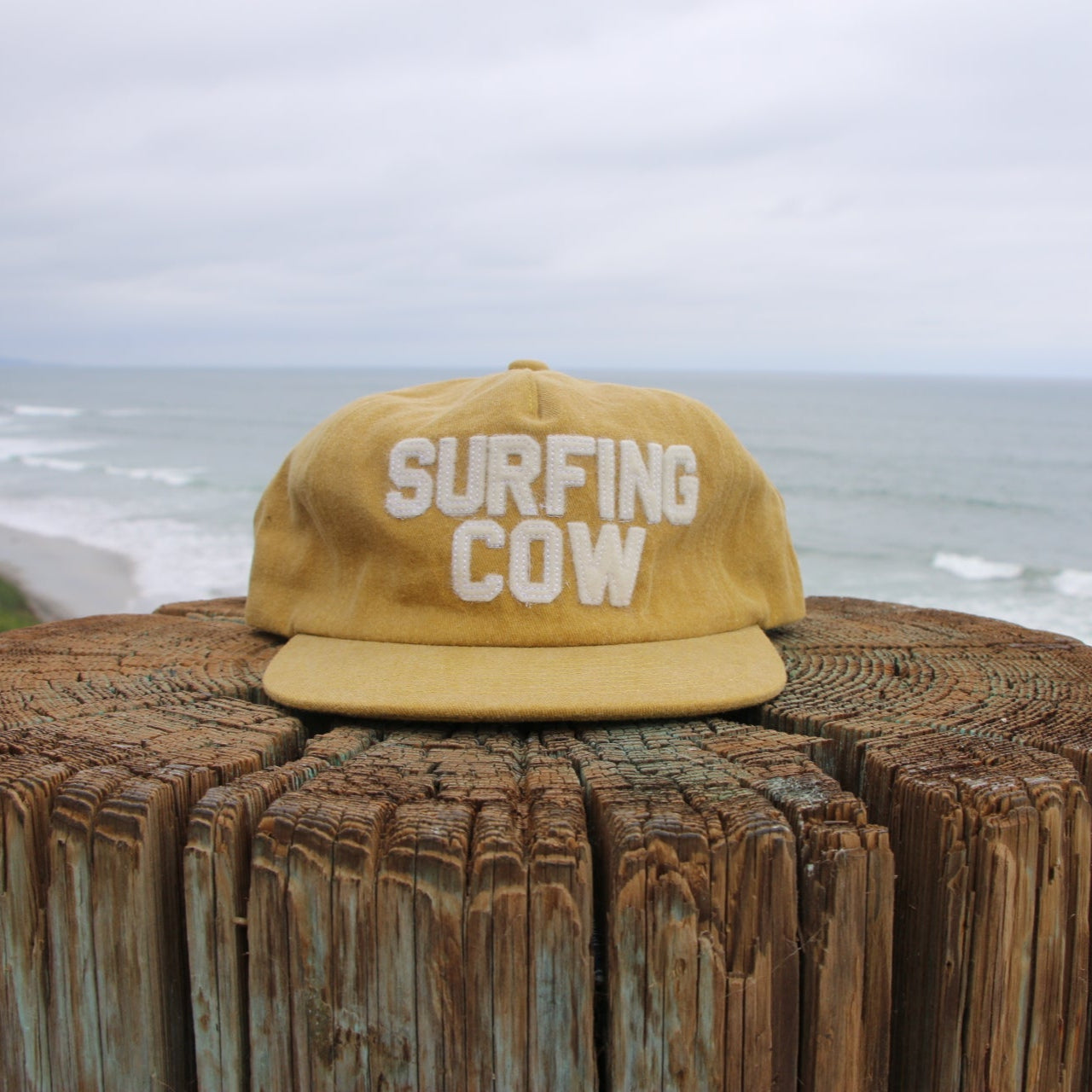 Washed 5 Panel Hat - Sun
